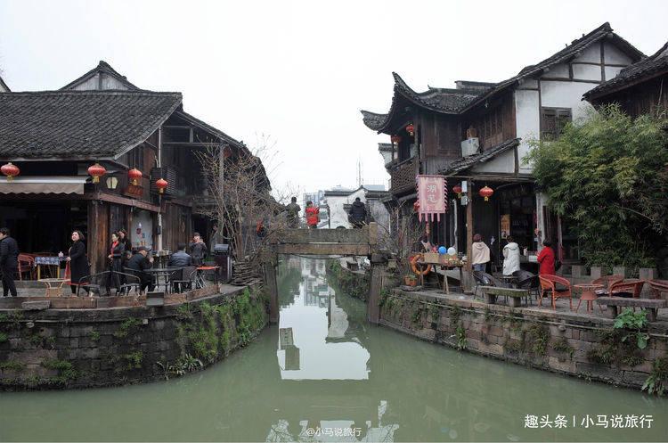逃离棕榈树森林